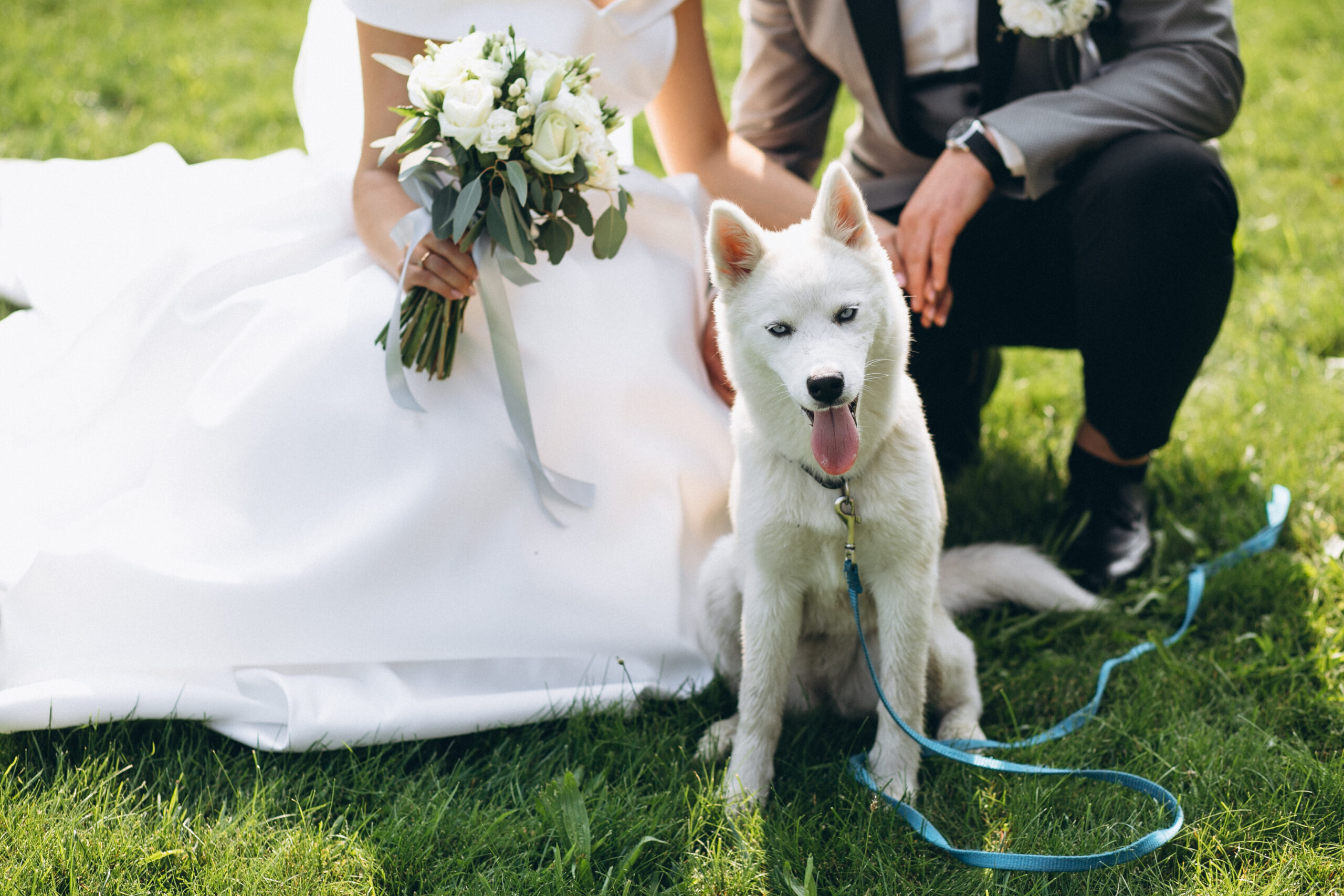 เตรียมตัวให้พร้อมกับงานแต่งงาน Pet-Friendly